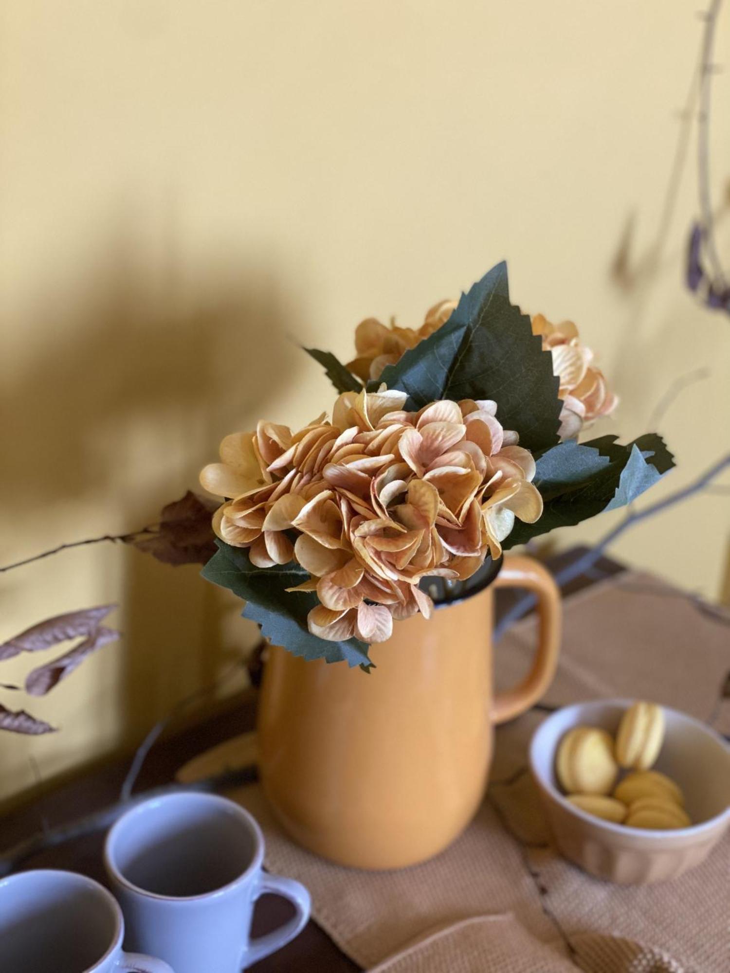 B&B Melloni Street Доло Екстериор снимка