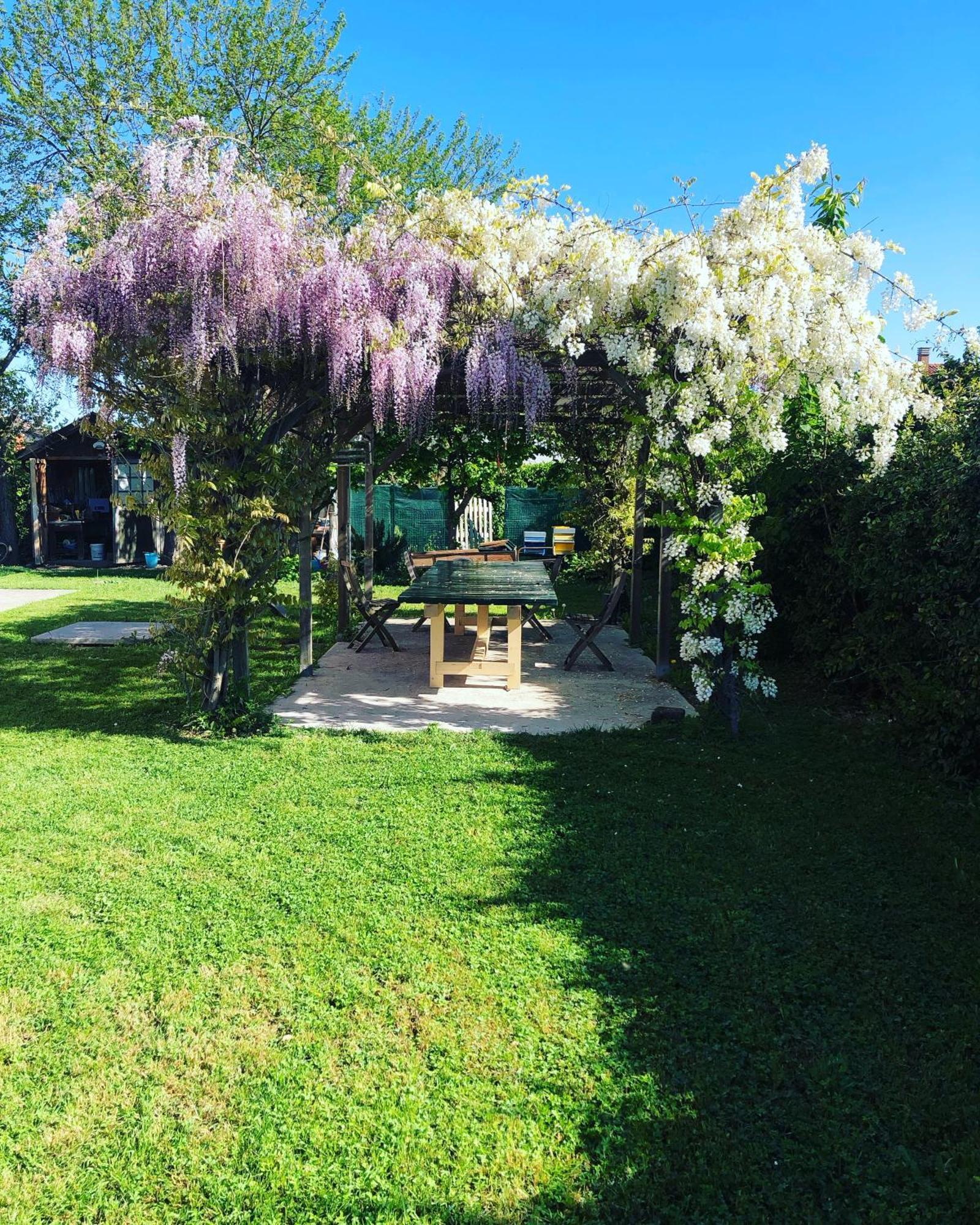 B&B Melloni Street Доло Екстериор снимка